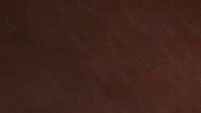 La tecnología permite que ICE automáticamente reciba las huellas digitales de toda persona que es detenida a nivel local.