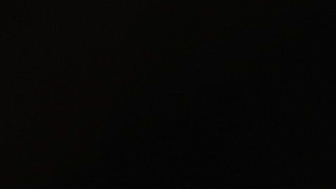 Rodrigo de Lima cuando estaba en la UFC.