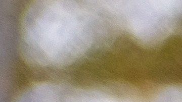 Los veteranos enfrentan problemas de atención médico y laboral.