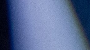 David Bisbal y Rosanna Zanetti esperan bebé.