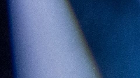 David Bisbal y Rosanna Zanetti esperan bebé.