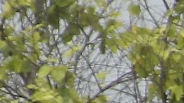 Twin Peaks donde ocurrió el tiroteo entre bandas de motoristas rivales, el 18 de mayo de 2015.