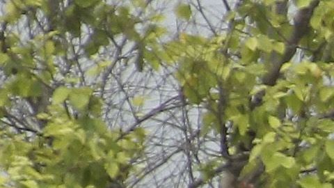 Twin Peaks donde ocurrió el tiroteo entre bandas de motoristas rivales, el 18 de mayo de 2015.