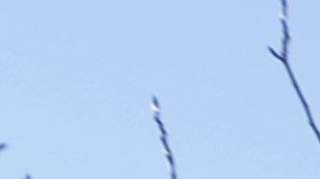 La comunidad LGTB  ha luchado por años por cambios en iglesia mormona.