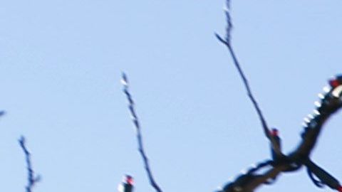La comunidad LGTB  ha luchado por años por cambios en iglesia mormona.