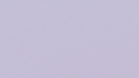 Javiera Mena hizo historia en Coachella.