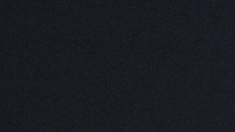 Demián Bichir con Stefanie Sherk en diciembre de 2015.