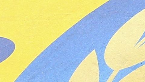 El clima no fue un obstáculo