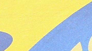 El clima no fue un obstáculo