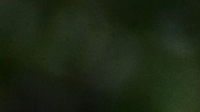 El presidente Trump rodeado de agentes del Servicio Secreto.