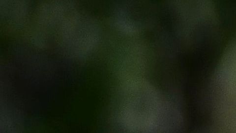 El presidente Trump rodeado de agentes del Servicio Secreto.