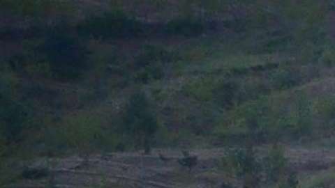 Una de las pruebas de Corea del Norte,  el 14 de mayo de 2017.