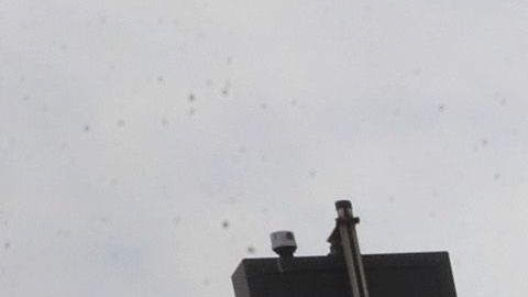 Asha Williams recibió un disparo en la cabeza y fue llevada a un hospital local en condición crítica murió dos días después.