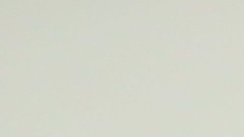 Moby, cantante de música dance.