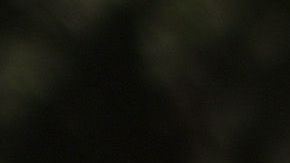 Activistas han aumentados las protestas contra el racismo