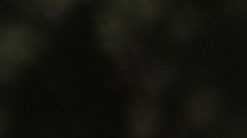 Activistas han aumentados las protestas contra el racismo