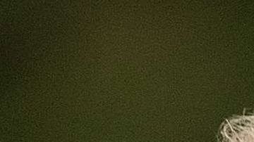 La pareja se pronunció este miércoles en Atlanta