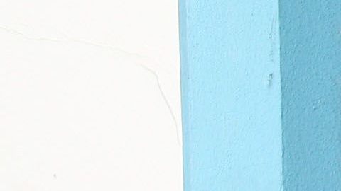 No todos los estados exigen la prueba del "smog"