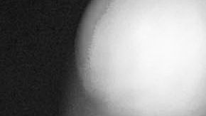 Ariana Grande ya es empresaria.