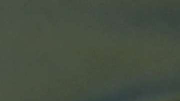 Un niño y su padre, originarios de Honduras, piden asilo a agentes fronterizos.