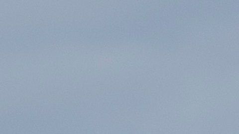 Jared Kushner y Stephen Miller.