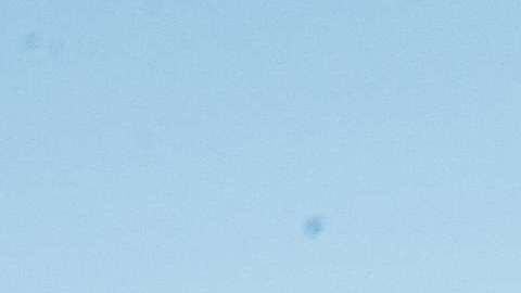 La Corte Suprema no revisará la decisión del tribunal de nombrar a un fiscal especial en su caso