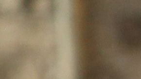 El presidente Trump se reunió con la Reina Isabel II en 2018.