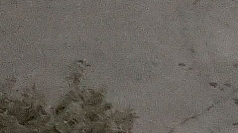 Imágenes de la bodega que ardió en llamas el 2 de diciembre, 2016 in Oakland, California.