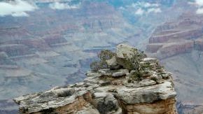 Cada año mueren de media una docena de personas en el Gran Cañón, la mayoría por deshidratación o golpes de calor.