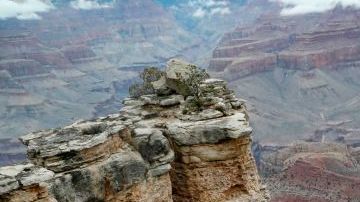 Cada año mueren de media una docena de personas en el Gran Cañón, la mayoría por deshidratación o golpes de calor.
