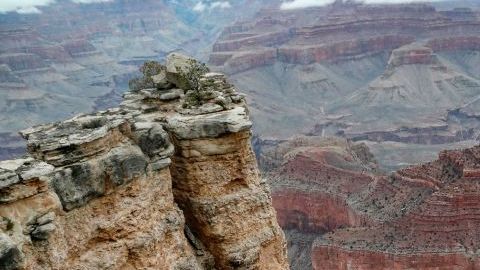 Cada año mueren de media una docena de personas en el Gran Cañón, la mayoría por deshidratación o golpes de calor.