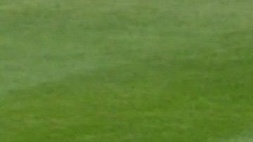 El beisbol se topó con la política