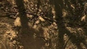 Hallan nueva narcofosa con unos 25 cuerpos en Sonora, México