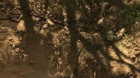 Hallan nueva narcofosa con unos 25 cuerpos en Sonora, México