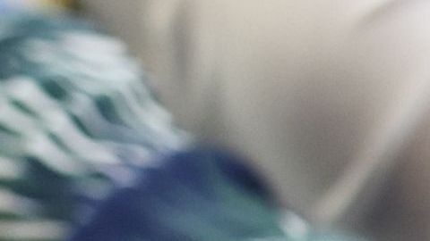 El buen líder se gana el cariño y respeto del equipo.