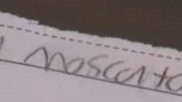 El proyecto escolar.