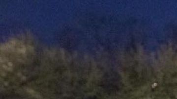 ICE busca operar libremente en cualquier tribunal.