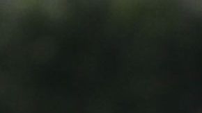 Hirving Lozano, jugador mexicano del PSV Eindhoven.