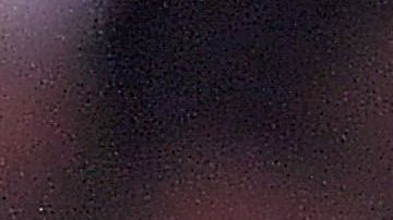 Cecilio Domínguez jugó dos temporadas con las Águilas del América