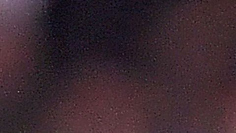 Cecilio Domínguez jugó dos temporadas con las Águilas del América