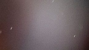 Javier "Chicharito" Hernández responde a las críticas en su contra en las redes sociales