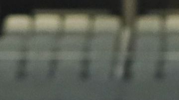 Chivas de Guadalajara ocupan la posición 14 del torneo Clausura 2019