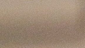 Tomás Boy asumió como técnico de las Chivas del Guadalajara