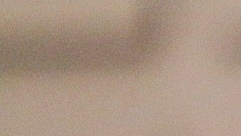 Tomás Boy asumió como técnico de las Chivas del Guadalajara