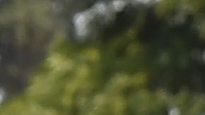 Ciudad de México, 14 de abril de 2019. , durante el juego de la jornada 14 del torneo Clausura 2019 de la Liga Bancomer MX entre las Aguilas del América y la Máquina Celeste del Cruz Azul, celebrado en el estadio Azteca. Foto: Imago7/ Etzel Espinosa