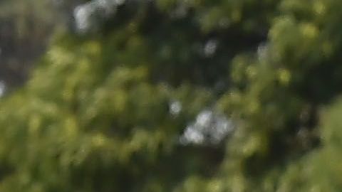 Ciudad de México, 14 de abril de 2019. , durante el juego de la jornada 14 del torneo Clausura 2019 de la Liga Bancomer MX entre las Aguilas del América y la Máquina Celeste del Cruz Azul, celebrado en el estadio Azteca. Foto: Imago7/ Etzel Espinosa