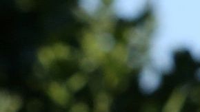 Hay una gran brecha en el salario de la mujer.