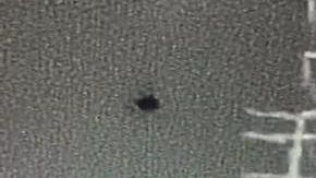 Foto de un dron usado por coyotes para pasar a inmigrantes en la frontera.