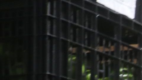 José Antonio Álvarez lleva una caja llena de aguacates en una distribuidora de Los Ángeles. / foto: Jorge Luis Macías.