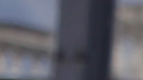 “Uno de los retos más grandes es elegir entre tantos productos para el cabello crespo”, dice Joseph Boro.